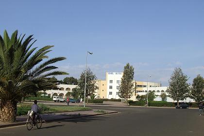 Asmara-Sembel-1