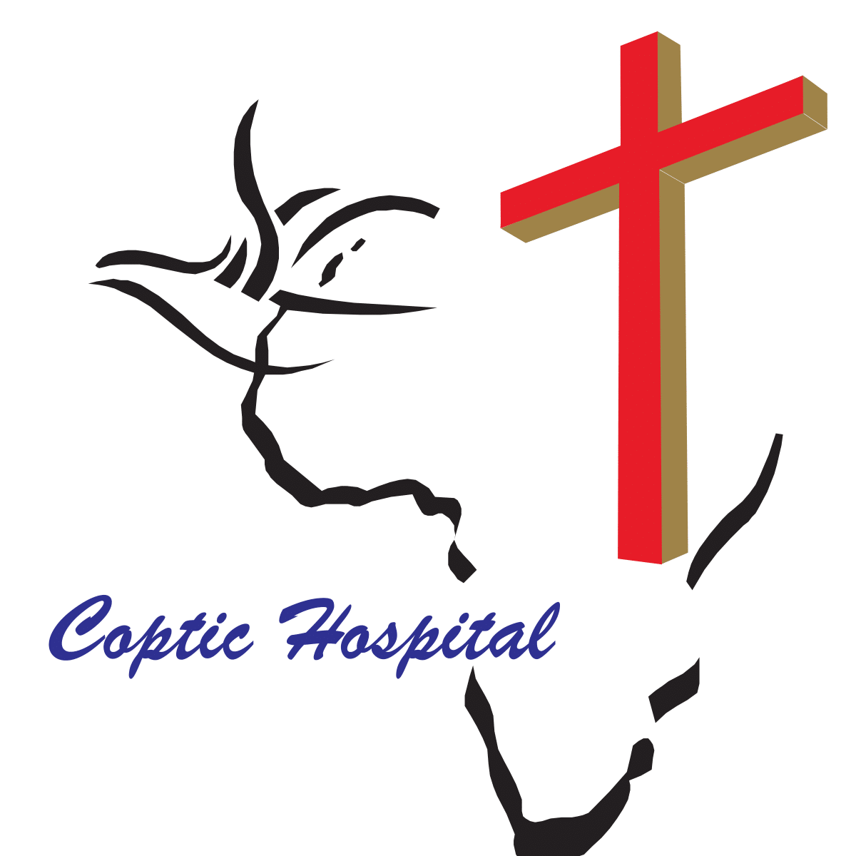 hospital image 2: Lusaka-Coptic-11